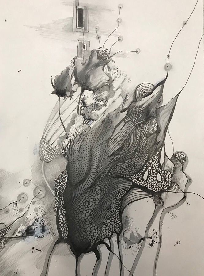 Пузырька глазастая