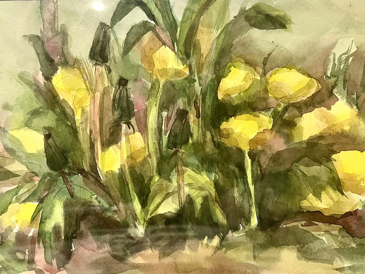 Одуванчики